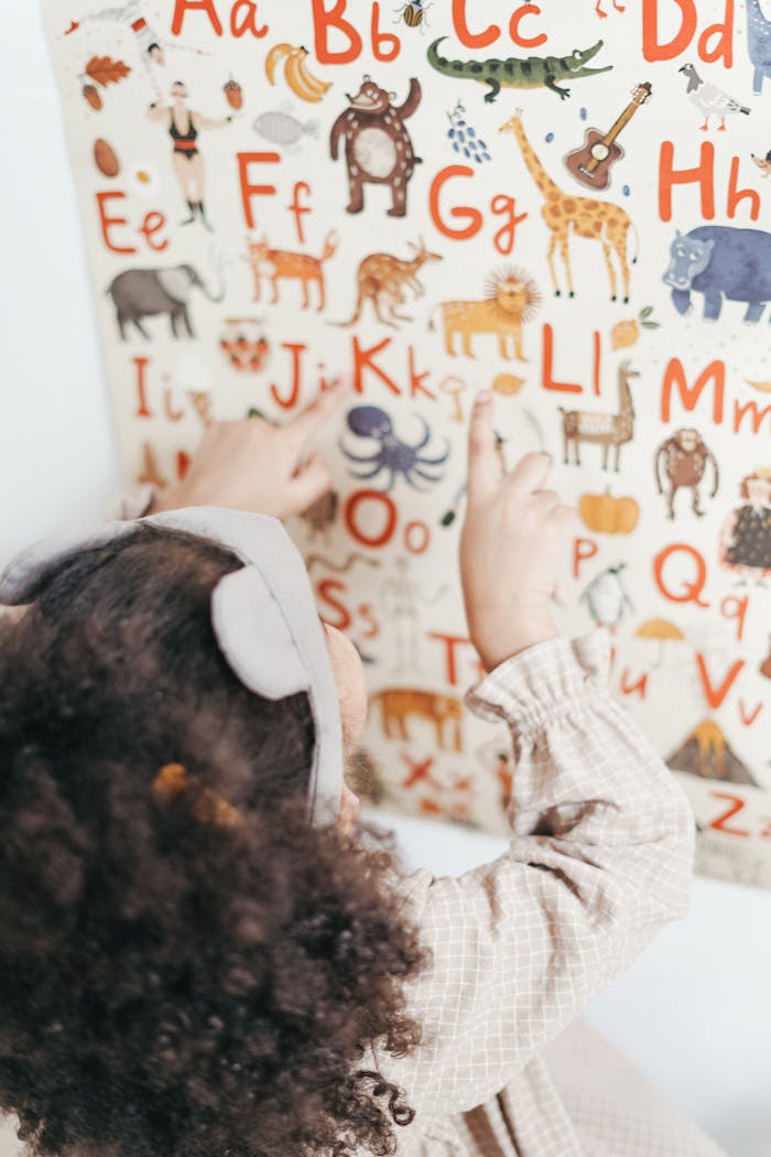 A child points at an educational alphabet and animal poster indoors.